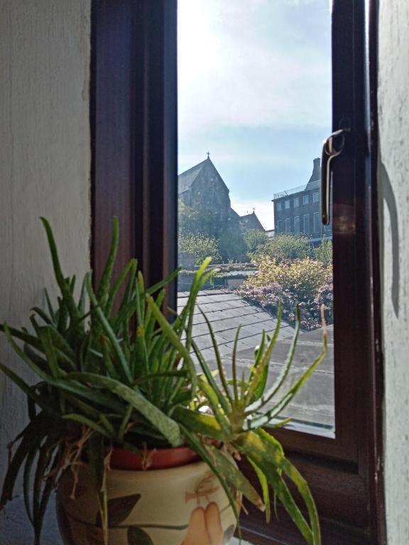 Townhouse Wexford Villa Ngoại thất bức ảnh
